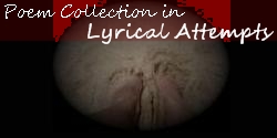 Lyrical Attempts